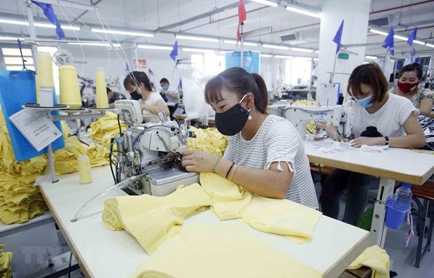 Women-led enterprises make great contributions to economic recovery: expert hinh anh 1