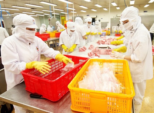 Vietnam targets private-sector development hinh anh 1