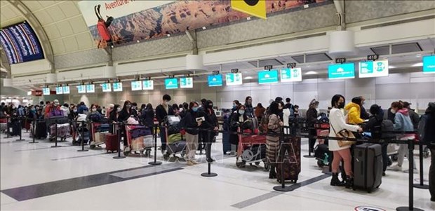 Flight brings home nearly 350 Vietnamese citizens from Canada hinh anh 1