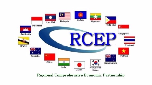 Businesses advised to improve knowledge to optimize chances from RCEP hinh anh 1