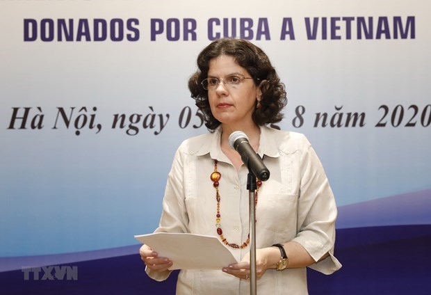 Vietnam-Cuba solidarity model for int’l relations: diplomat hinh anh 1