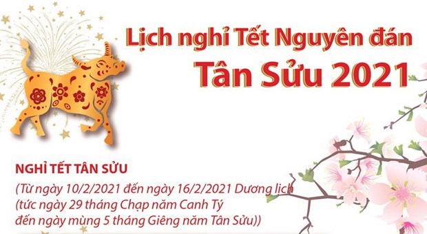 2021 Lunar New Year holiday to last for seven days hinh anh 1