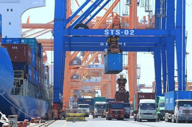 Trade surplus swells to record high in 11 months amidst COVID-19 hinh anh 1