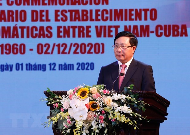 Vietnam treasures solidarity, friendship with Cuba: Deputy PM hinh anh 1
