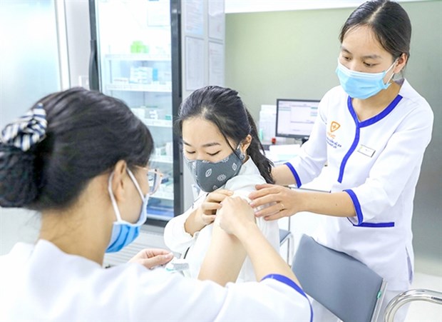 Cervical cancer patients on the rise: doctors hinh anh 1