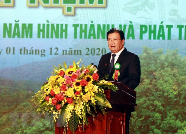 Forestry production expected to grow 5-5.5 percent annually in next five years hinh anh 1