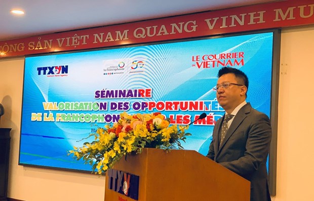Seminar boosts communications on cooperation chances in Francophone community hinh anh 1