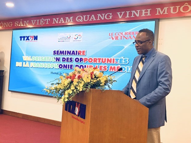 Seminar boosts communications on cooperation chances in Francophone community hinh anh 2