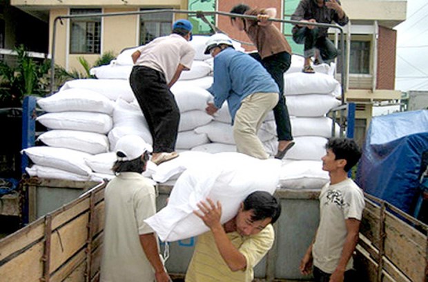Over 3,590 tonnes of rice allocated to disaster-hit central provinces hinh anh 1