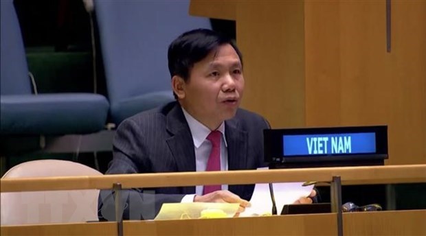 Vietnam chairs periodical meeting of UNSC’s Informal Working Group on International Tribunals hinh anh 1