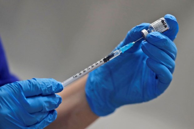 Singapore approves Pfizer/BioNTech COVID-19 vaccine for use hinh anh 1