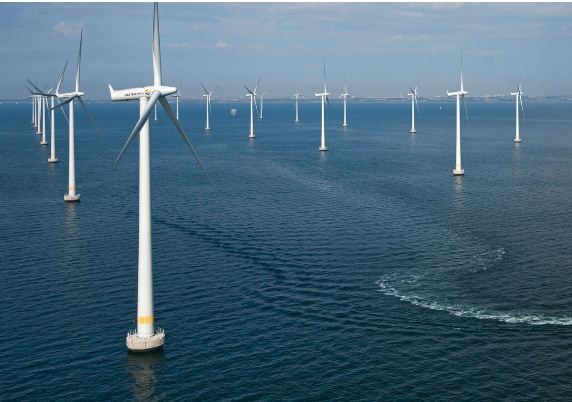 German wind power developer eyes offshore project in Binh Dinh hinh anh 1