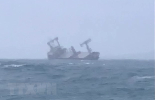 10 sailors on sunken Panamanian ship off Binh Thuan waters found hinh anh 1