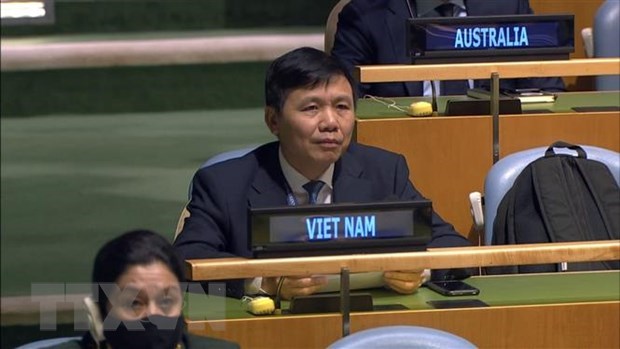 Vietnam, Russia, South Africa mark 60 years of Declaration on Decolonialisation hinh anh 1