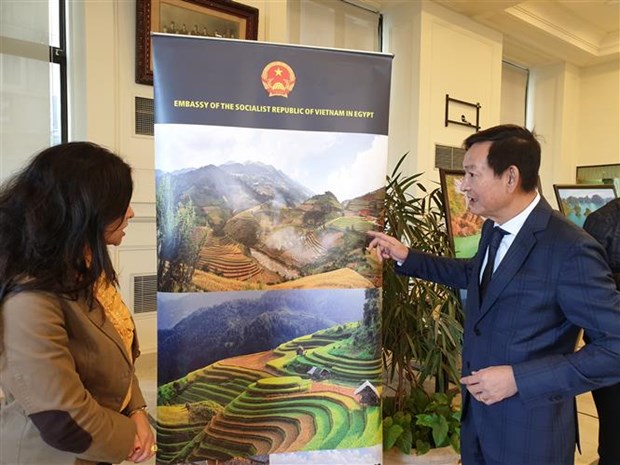 Vietnamese culture on show in Egypt’s second-largest city hinh anh 1