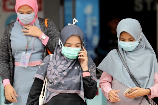 Indonesia posts highest COVID-19 daily death toll hinh anh 1