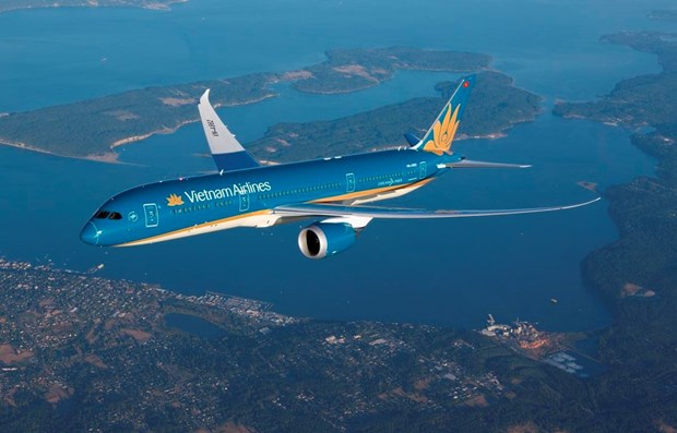 Vietnam Airlines to hold extraordinary shareholders’ meeting on December 29 hinh anh 1