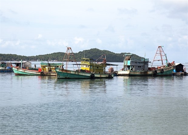Kien Giang invests over 28 mln USD in fishing infrastructure hinh anh 1