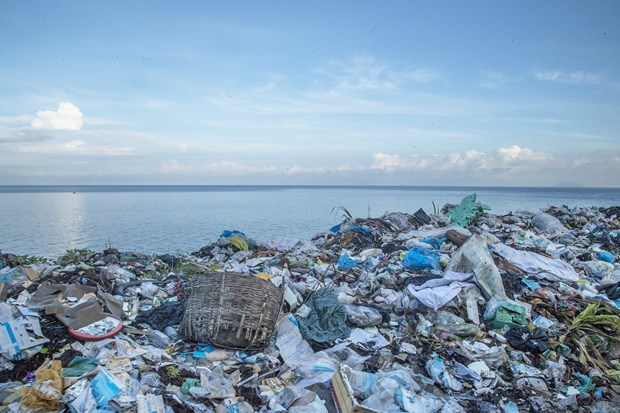 Efforts made to reduce plastic waste in oceans hinh anh 2