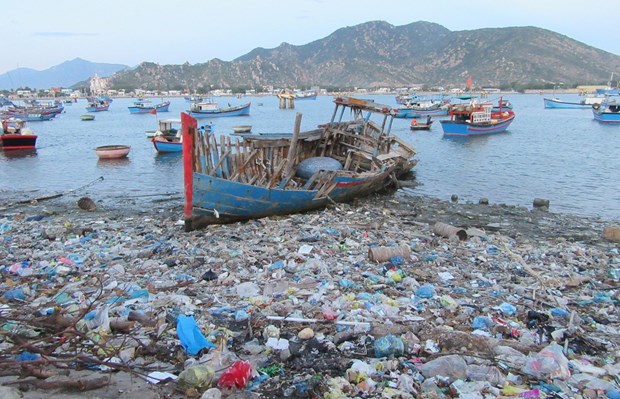 Efforts made to reduce plastic waste in oceans hinh anh 3