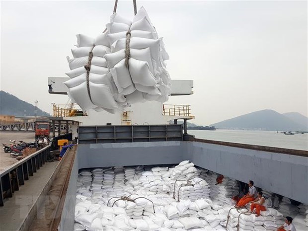 Rice export turnover up 10 percent in 2020 hinh anh 1