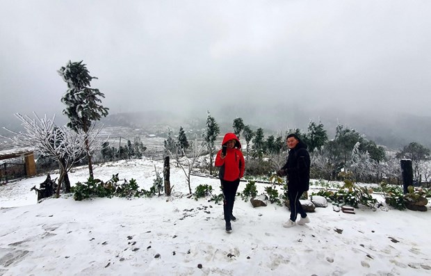 Mountain commune in Lao Cai blanketed in rare snow hinh anh 1