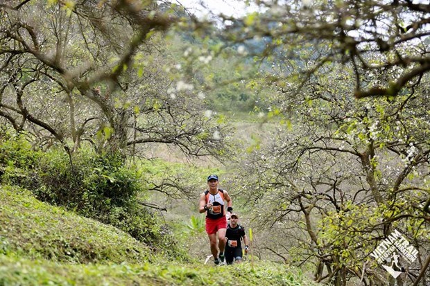 Over 4,300 runners to race in Vietnam Trail Marathon in Son La hinh anh 1