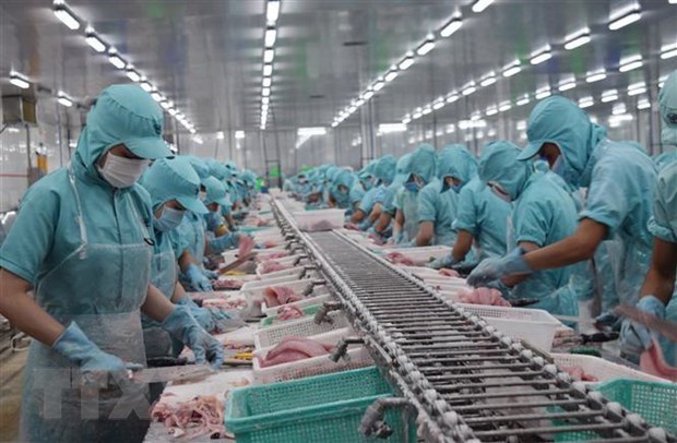 Vietnam concerned about Brazil’s rules on aquatic imports hinh anh 1