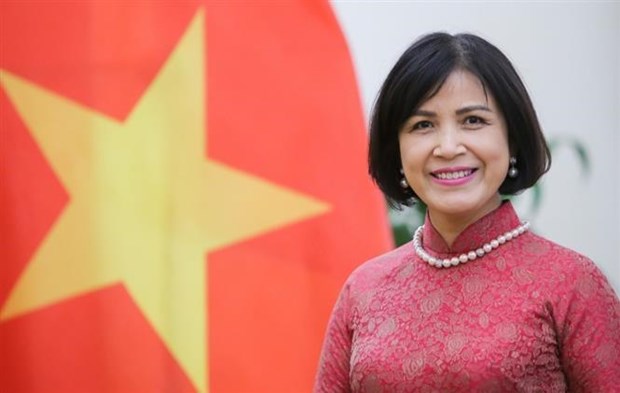 Vietnam supports, congratulates new WTO leader: Ambassador hinh anh 1