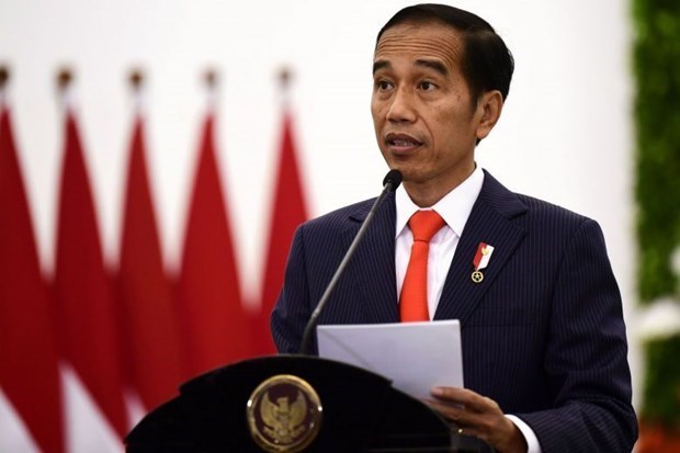 Indonesian President affirms no Cabinet reshuffle hinh anh 1