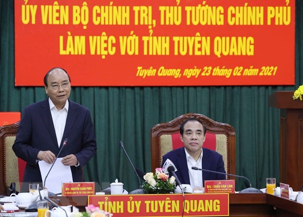 Tuyen Quang advised to pay greater attention to forest economy hinh anh 1