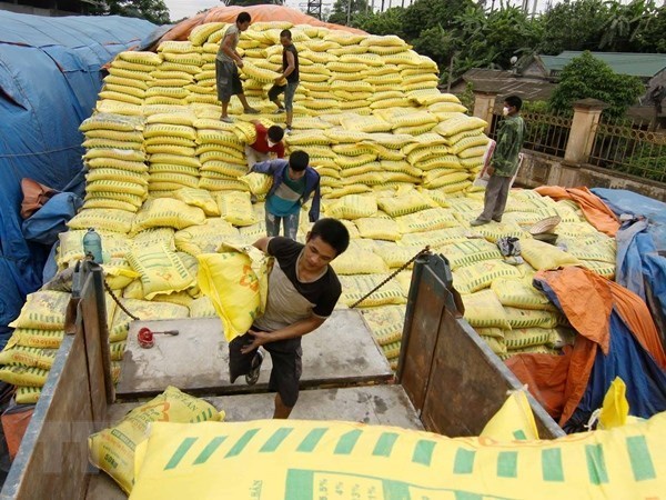 MoIT decides to impose self-defence measures on imported fertilisers hinh anh 1