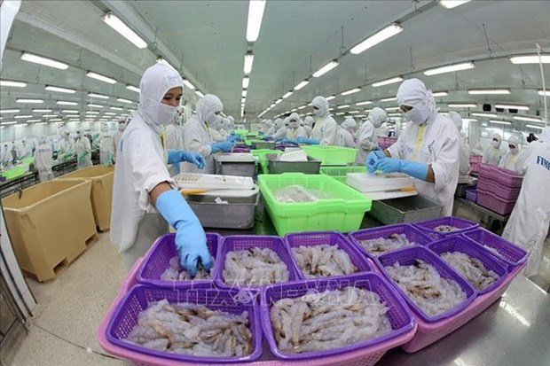 Vietnam to become world’s key shrimp producer hinh anh 1