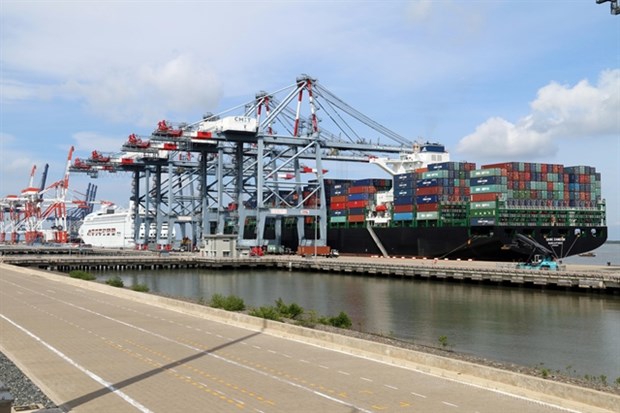 Increasing maritime transport cost making export difficult hinh anh 1