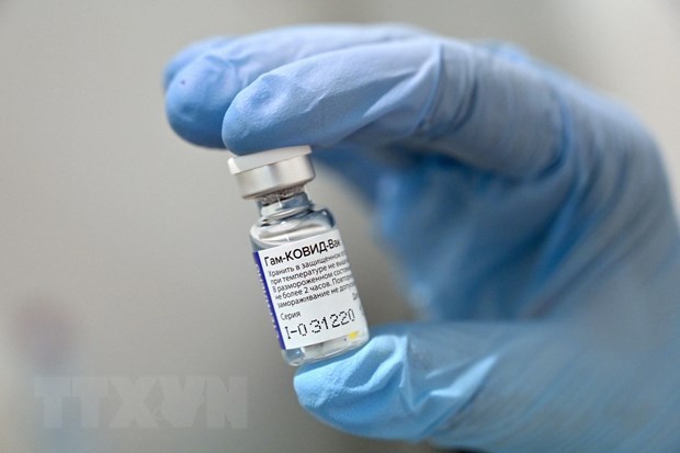 Russia’s COVID-19 vaccine authorised for emergency use hinh anh 1