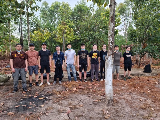 Long An: 12 foreigners detained for illegally entering Vietnam hinh anh 1