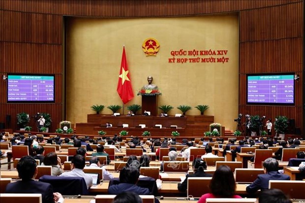 Legislators to elect Chairperson of NA, National Election Council hinh anh 1