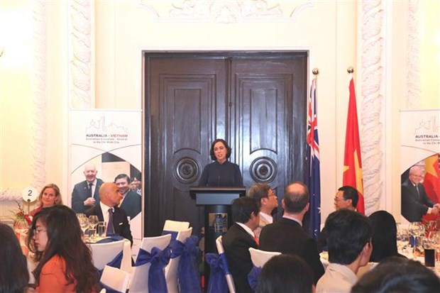 Vietnam-Australia diplomatic ties marked in HCM City hinh anh 1