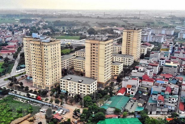 Affordable housing supply fails to meet goal: Official hinh anh 1