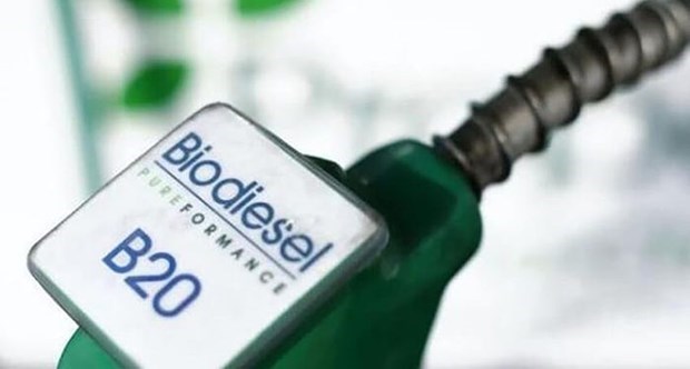 Minister: Indonesia now world’s largest biodiesel producer hinh anh 1