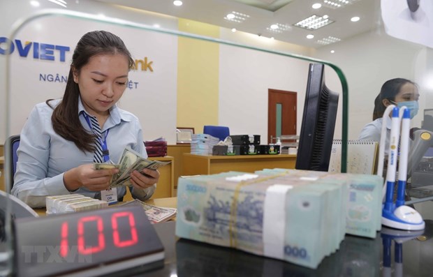 Vietnam looks to promote issuance of Gov’t bonds on int’l market hinh anh 1