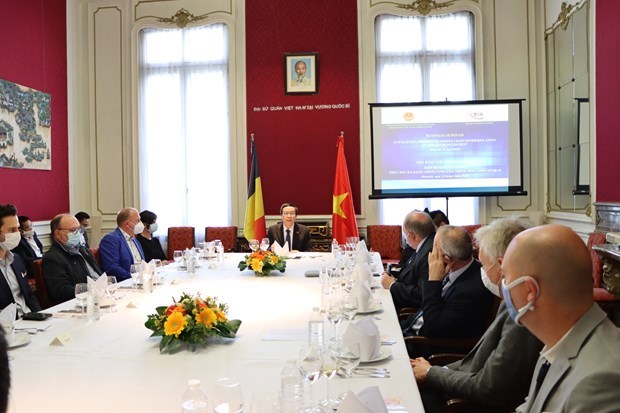 Belgium, Vietnam see growing multifaceted cooperation: Belgian politician hinh anh 1
