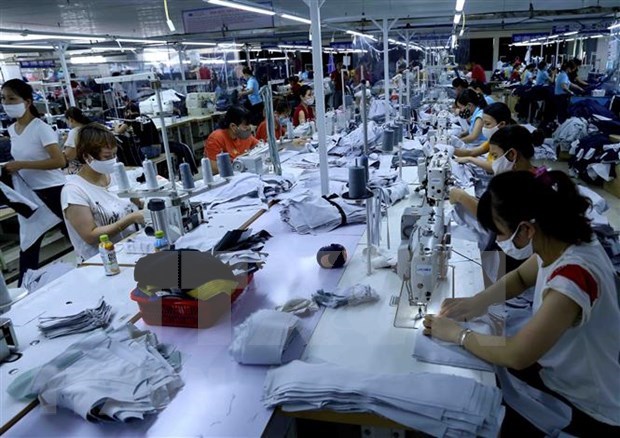 Export-import growth hits 10-year high hinh anh 1