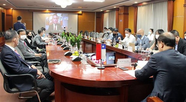 FTA providing impetus for Vietnam - Chile trade hinh anh 2