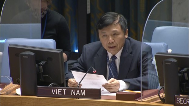 Vietnam calls for resumption of negotiations on Palestine issue hinh anh 1