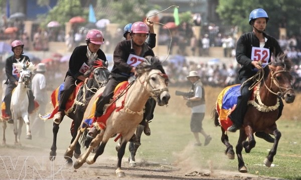 Traditional horse race recognised as national intangible heritage hinh anh 2