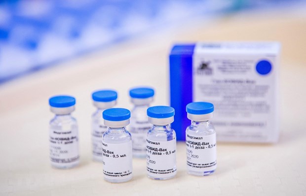Vietnam to buy 20 million doses of Sputnik V vaccine this year hinh anh 1