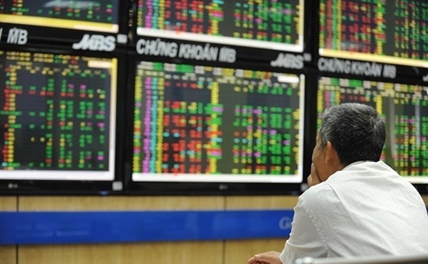 Stock market an attractive investment channel for local players hinh anh 1