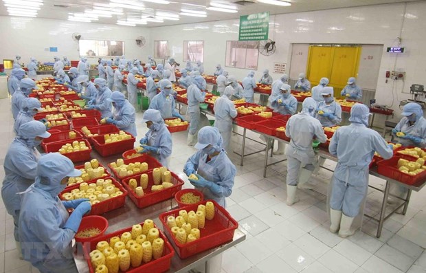 Manufacturing and processing sector playing key role in FDI attraction hinh anh 1