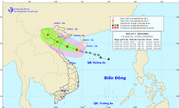 Tropical low depression develops into storm hinh anh 1